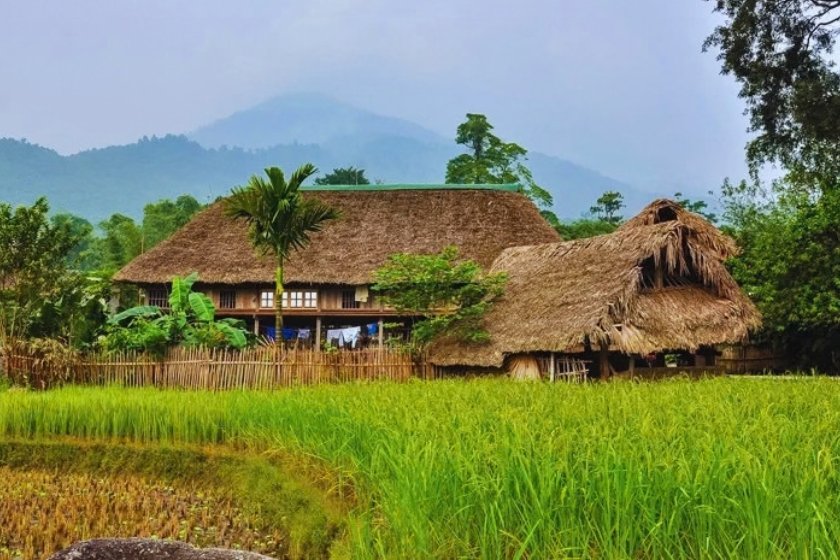 Image gallery